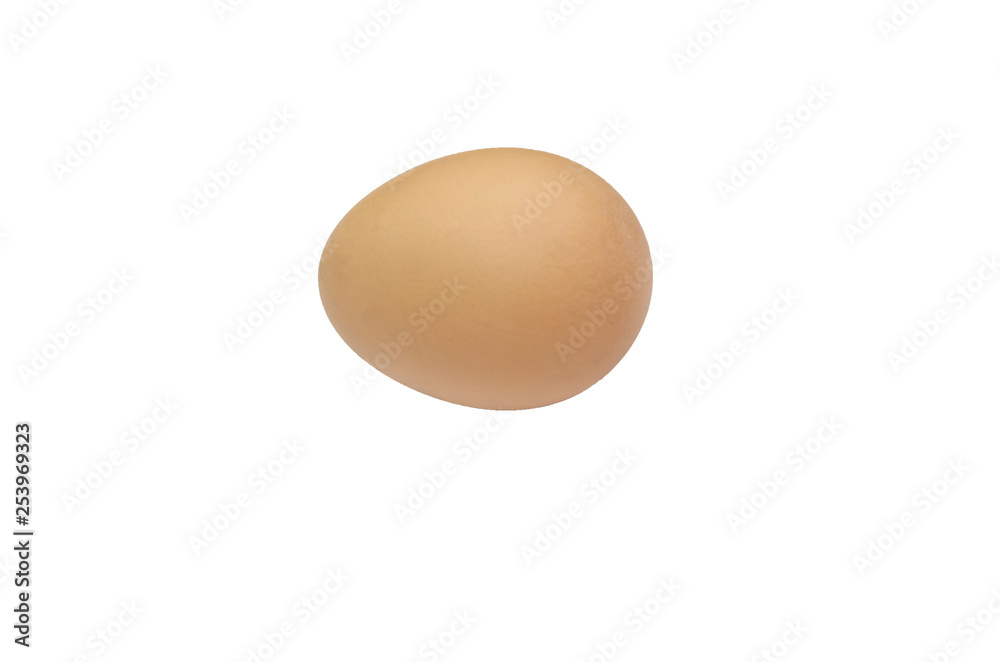 chicken egg on a white background chicken egg on a white background