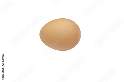 chicken egg on a white background