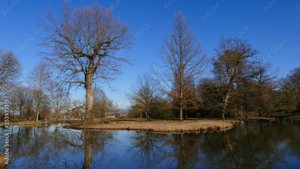 öffentlicher Park von Schloss Favorit, am See in Förch mit hohen Bäumen öffentlicher Park von Schloss Favorit, am See in Förch mit hohen Bäumen