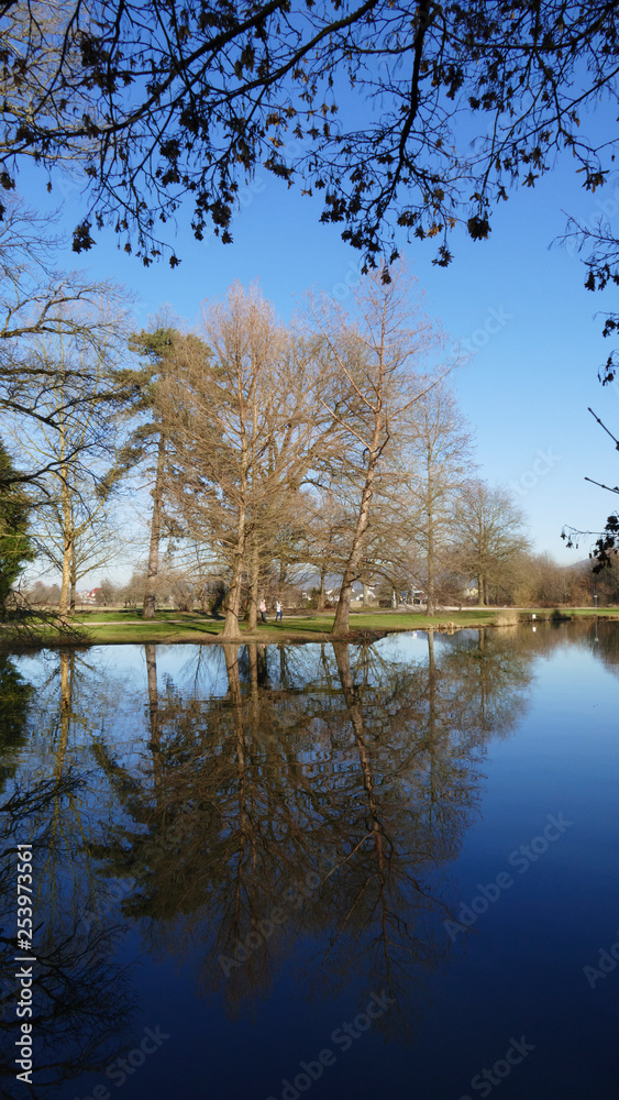 öffentlicher Park von Schloss Favorit, am See in Förch mit hohen Bäumen öffentlicher Park von Schloss Favorit, am See in Förch mit hohen Bäumen