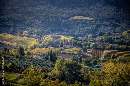 Beautiful autumn landscape in Tuscany. Near San Gimignano  Tuscany  Italy
