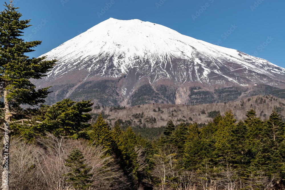 Fototapeta premium mt fuji in japan