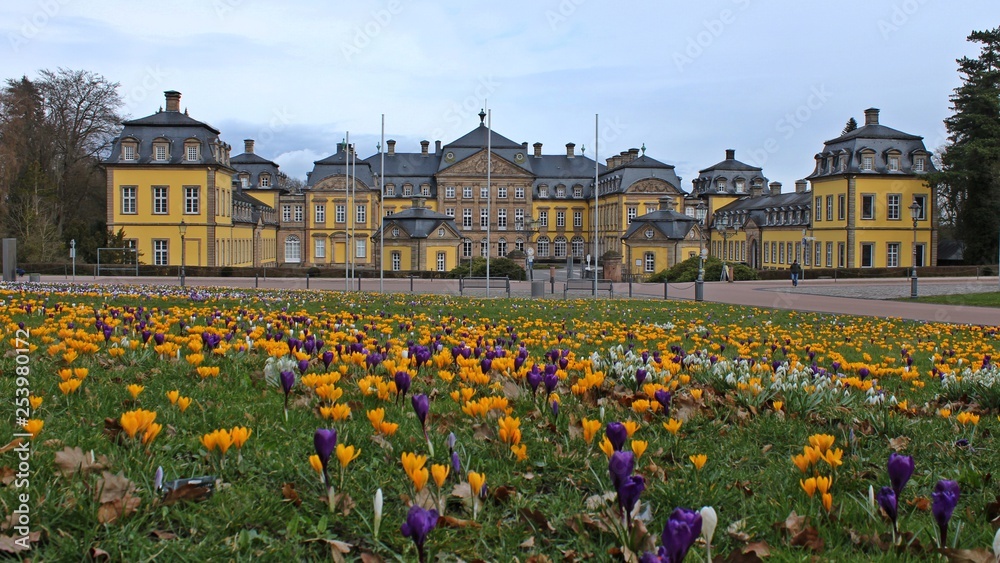 Blühende Krokusse vor dem Schloss in Bad Arolsen