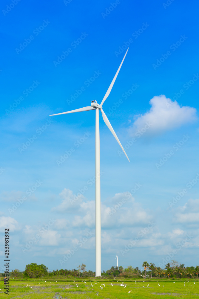 Wind Energy With The Sky And Grassland