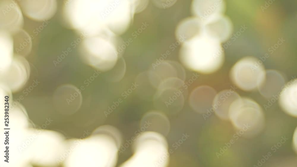 background with bokeh background with bokeh