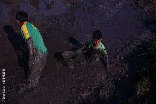 Aor Setar, Kedah,  Malaysia, March 9 2019 : Village people catch a fish in the mud after the harvest season of paddy field photo