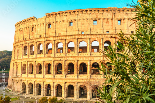 view of Colosseum in Rome, Italy in the sunrise