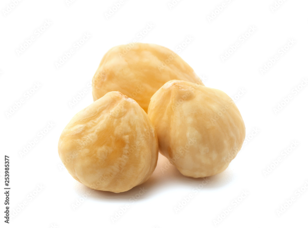 Hazelnuts isolated on the white background Hazelnuts isolated on the white background