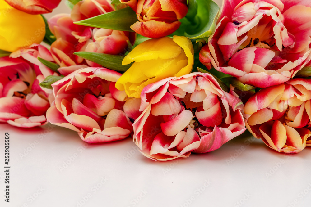 Spring flowers. Bouquet of Red and Orange tulips on light background. Mother's Day and Valentines Day background Spring flowers. Bouquet of Red and Orange tulips on light background. Mother's Day and Valentines Day background