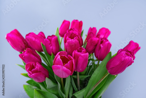 Wallpaper Mural Bouquet of pink tulips on a blue background. Torontodigital.ca