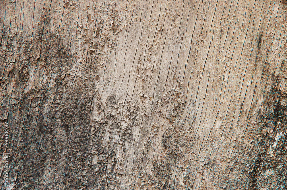 Obraz premium old wooden board, background