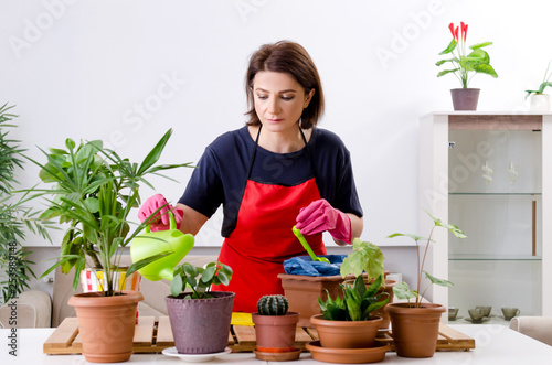 Female gardener with plants indoors 