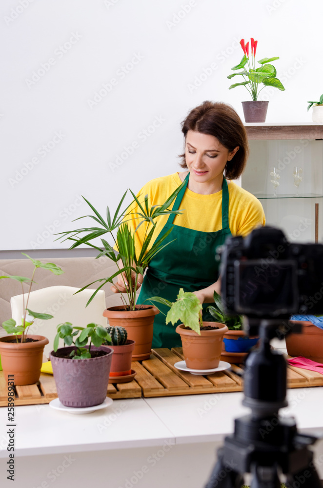 Female blogger explaining houseplants growing Female blogger explaining houseplants growing