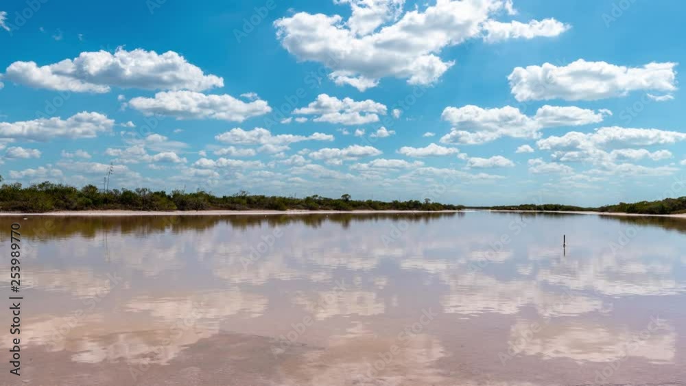Pink Salt Lake Reflection with Clouds Timelapse, Celestun, Yucatan, Mexico 