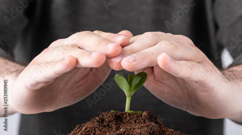 ecology plant