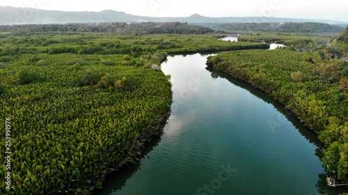 vue aerienne, Rivière Abatan, Bohol, Philippines