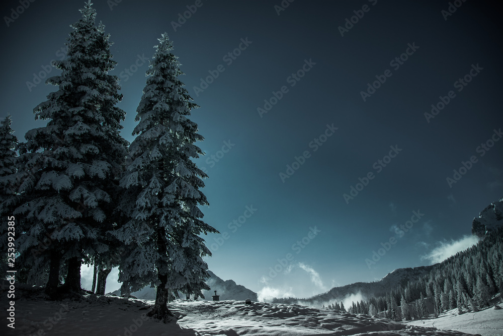 beautiful winter mountain landscape - obrazy, fototapety, plakaty 