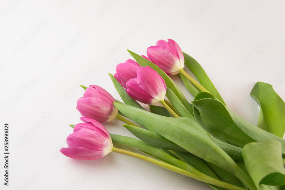 Bukiet tulipanów Bukiet tulipanów