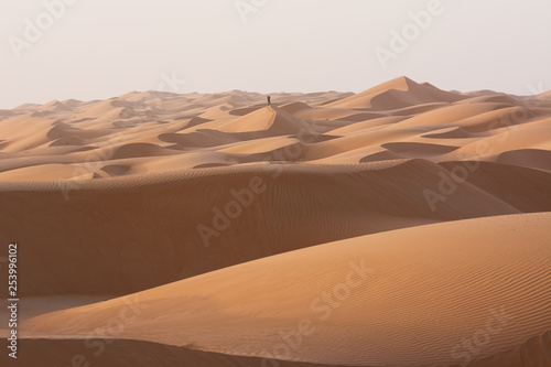 Alone man in the desert dunes of the Wahiba Sand Desert (Oman)