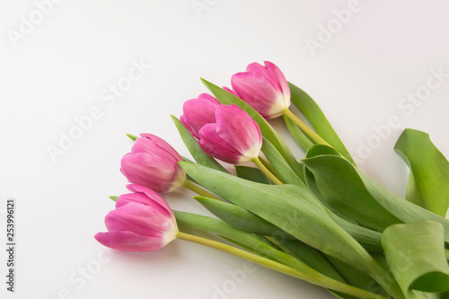 Bukiet tulipan  w