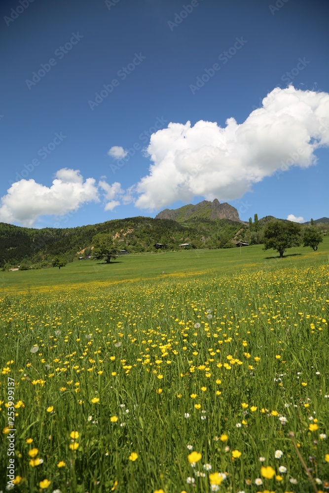 Fototapeta premium landscape village nature artvin savsat