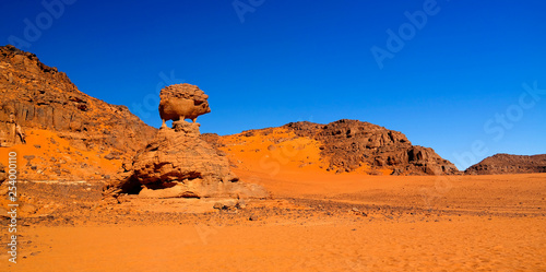 Abstract Rock formation aka pig or hedgehog at Tamezguida, Tassili nAjjer national park, Algeria photo