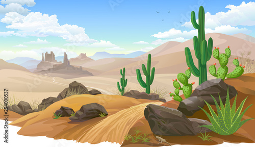 Sandy desert, Saguaro cactus vegetation. Mountain like sand dunes. 