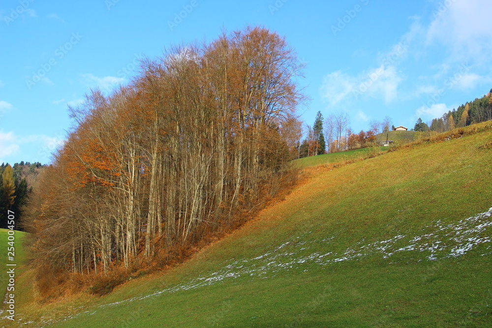 Fototapeta premium voralpenland
