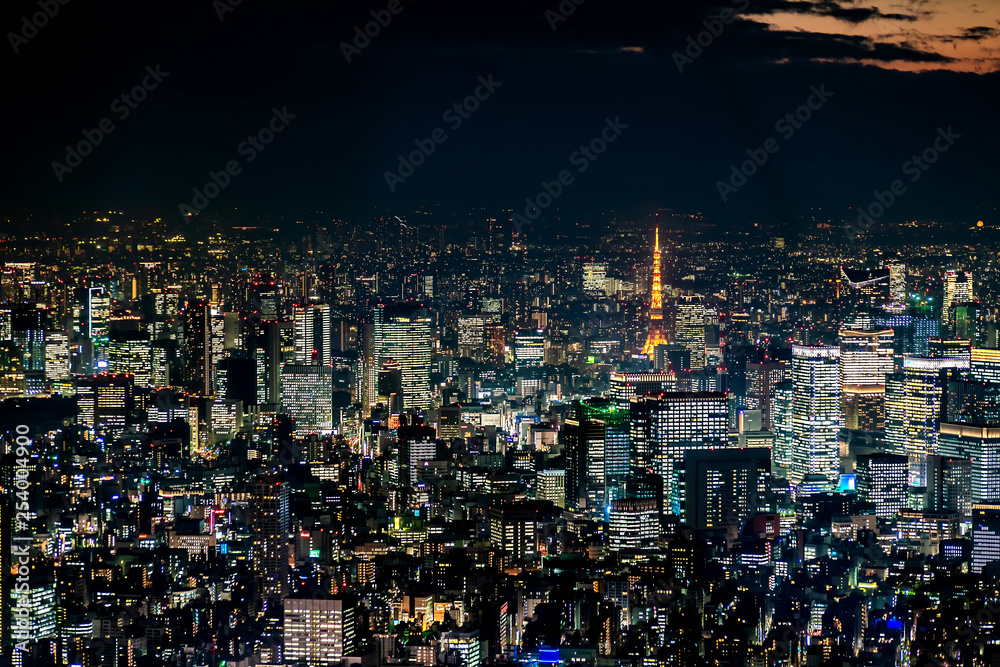 Obraz premium Tokyo Tower with skyline cityscape in Tokyo, Japan at night