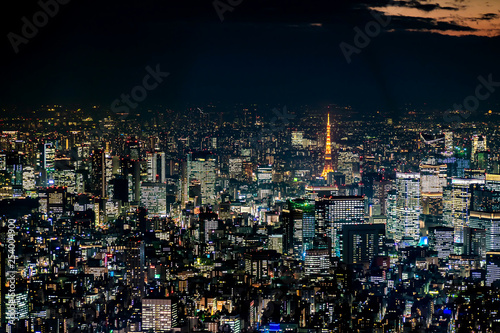 Tokyo Tower with skyline cityscape in Tokyo  Japan at night