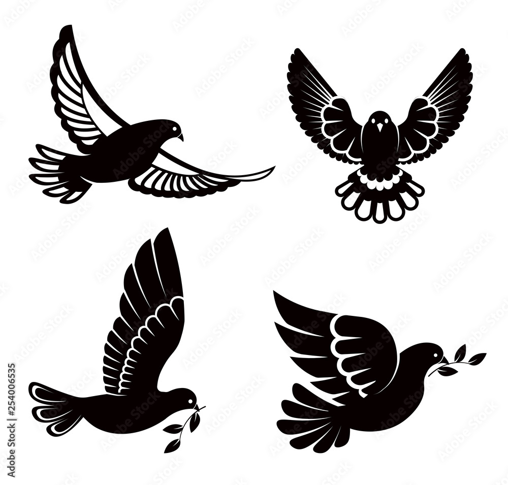 Pigeon or dove, white bird flying with spread wings in sky or sitting set. Pigeon or dove, white bird flying with spread wings in sky or sitting set.