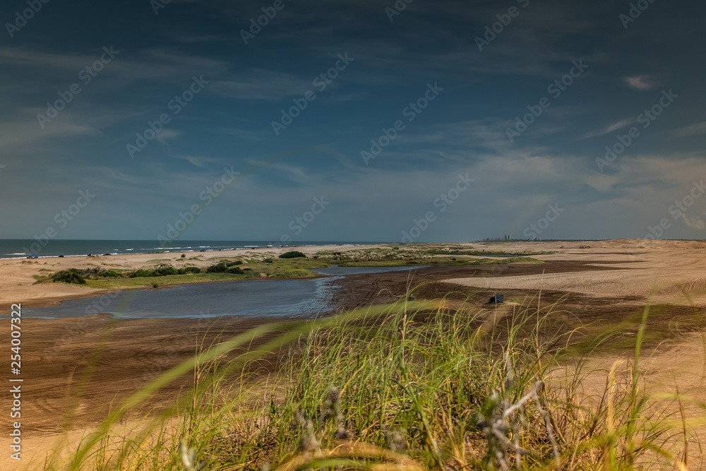 beach landscape with lake and blue sky and a city in the background and grass in the foreground