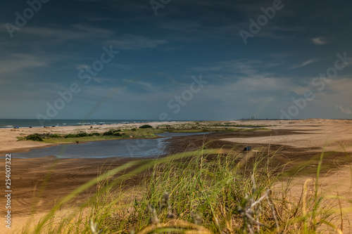 beach landscape with lake and blue sky and a city in the background and grass in the foreground © Federico