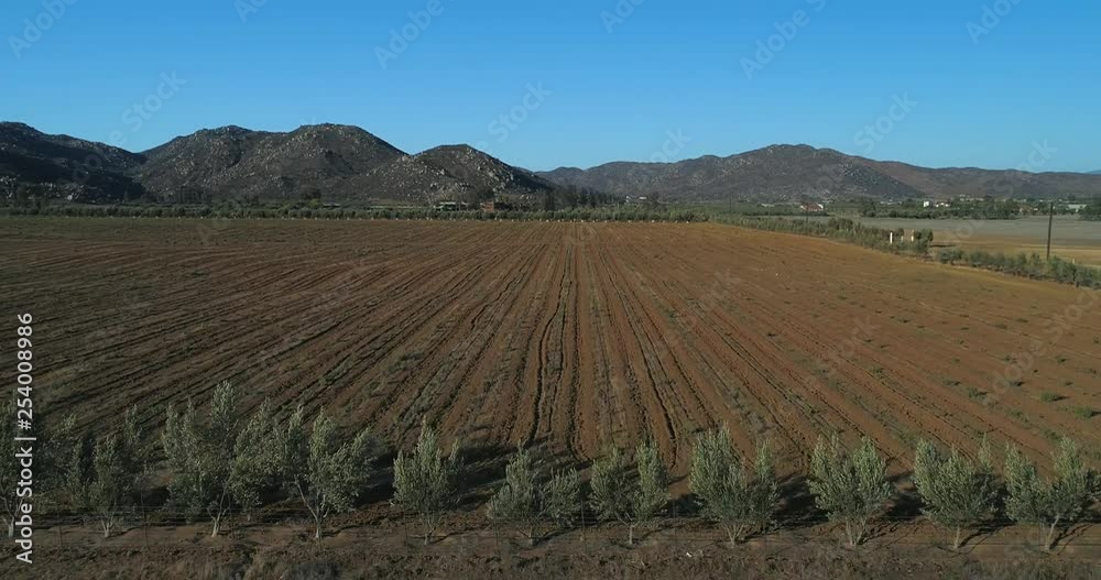 Aerial shot of vineyards and fields n Valle de Guadalupe Aerial shot of vineyards and fields n Valle de Guadalupe