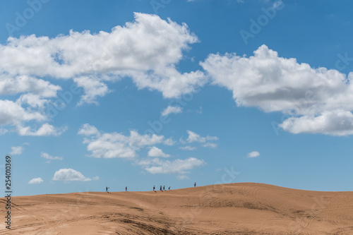 people walking on a sand dune on a sunny day in pinamar, argentina