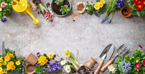 Gardening tools and spring flowers on the terrace