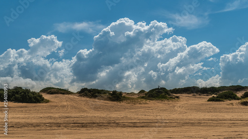 Fototapeta Naklejka Na Ścianę i Meble -  dune landscape with blue sky and clouds on a sunny day