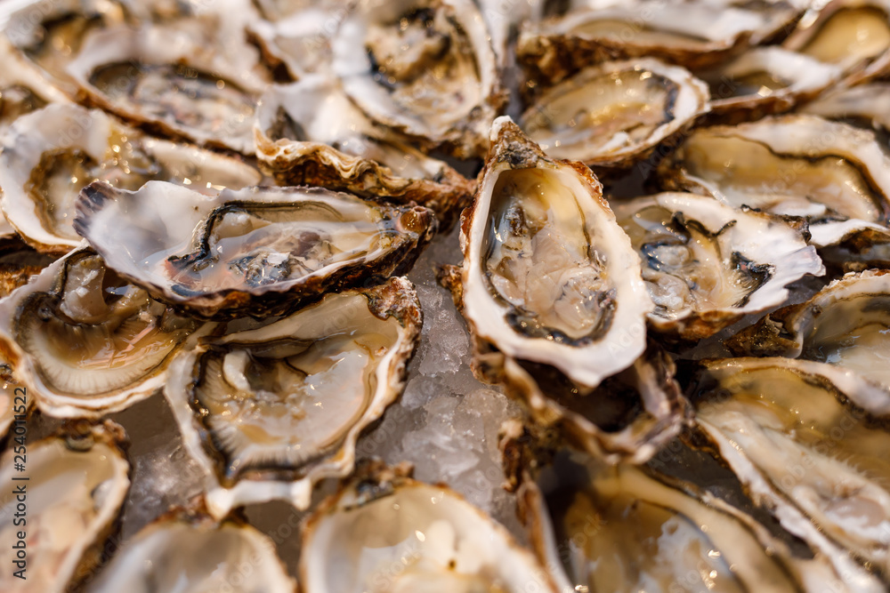 fresh opened oysters on plate arranged circularly fresh opened oysters on plate arranged circularly