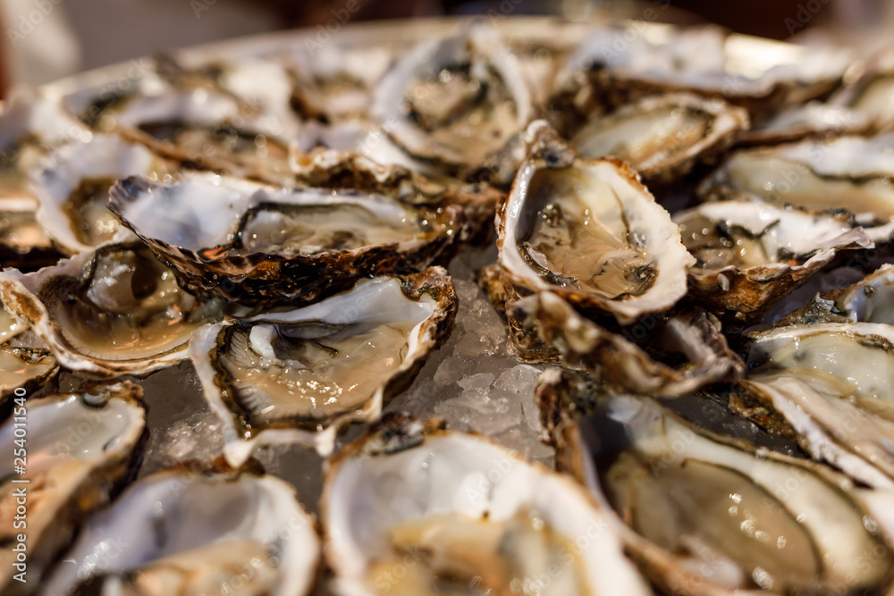 fresh opened oysters on plate arranged circularly fresh opened oysters on plate arranged circularly