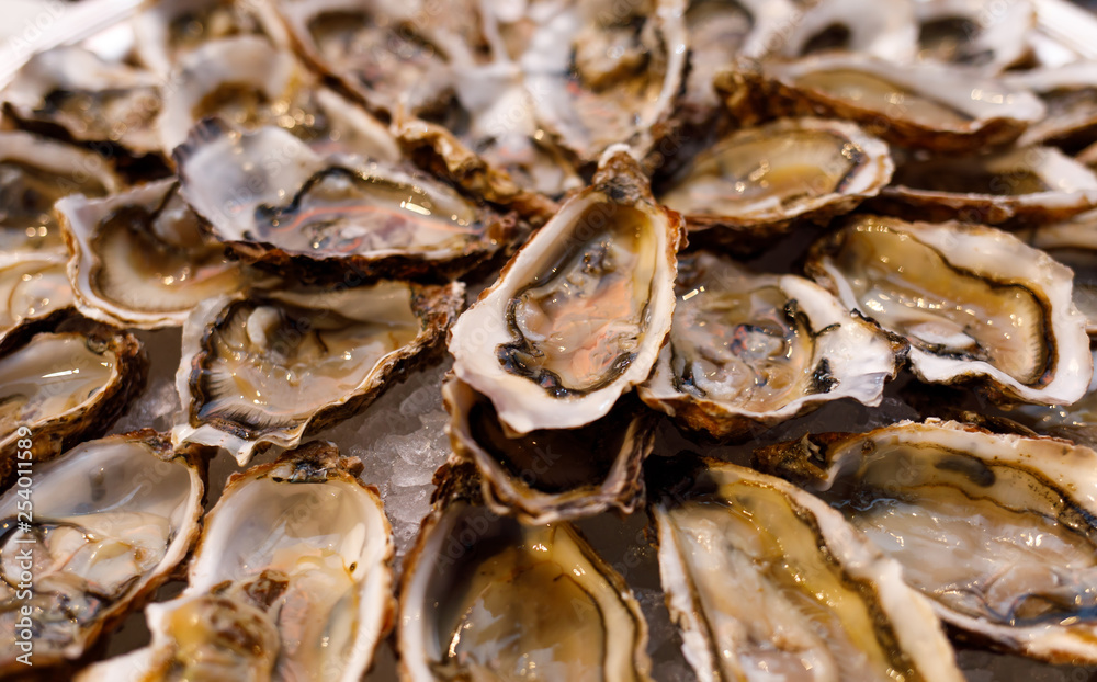 fresh opened oysters on plate arranged circularly