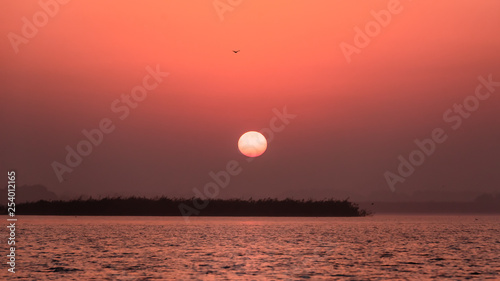 Big Sun rising over water bird flying