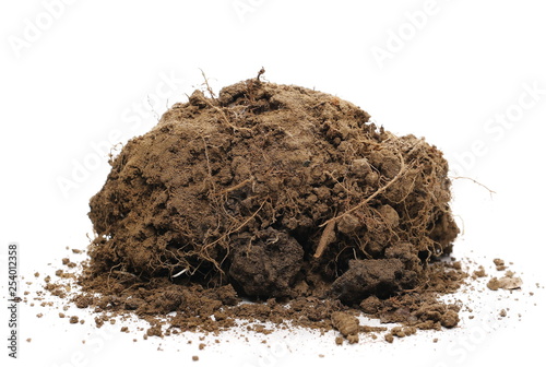 Dirt pile isolated on white background