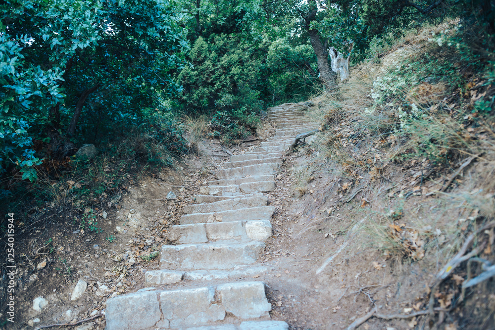 Ancient stone staircase footpath in a hilly Park.