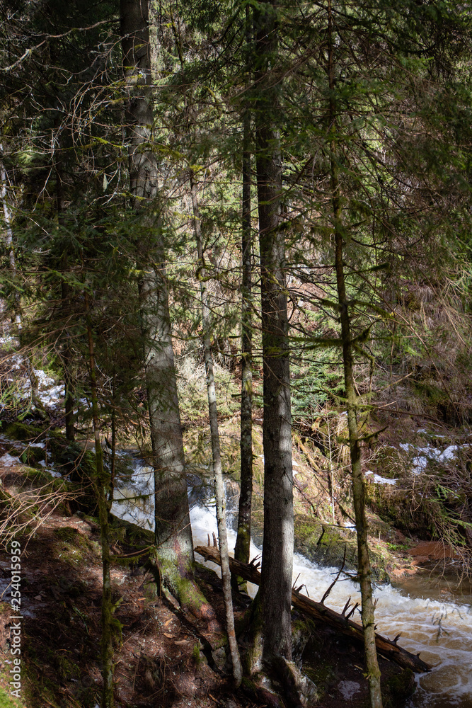 Rauschendes Wasser Rauschendes Wasser