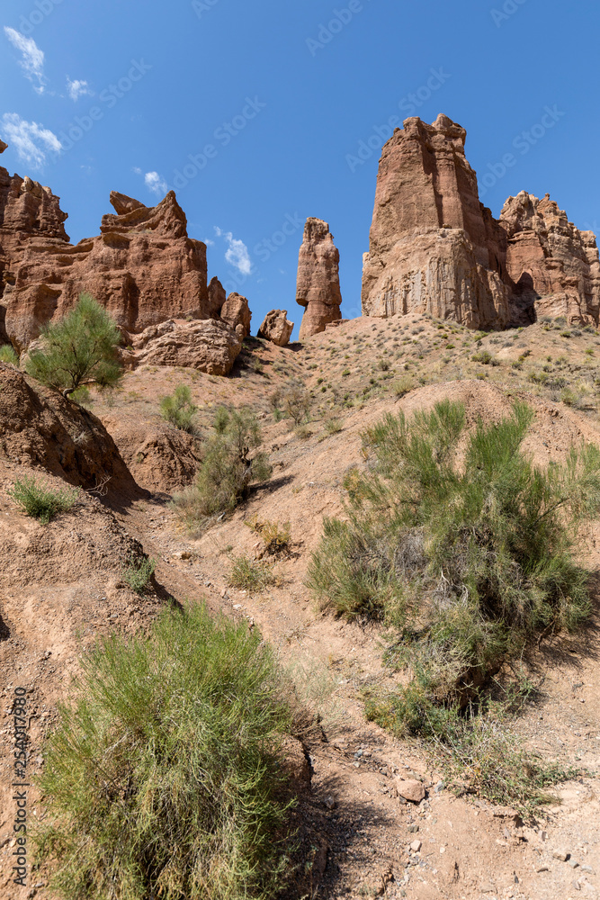 Fototapeta premium Views within the Charyn Canyon to the reddish sandstone cliffs. The canyon is also called valley of castles and is located east of Almaty in Kazakhstan.
