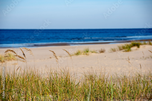 Fototapeta Naklejka Na Ścianę i Meble -  empty sandy beach by the sea