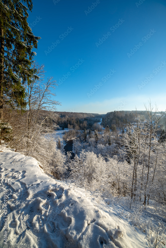 frozen winter landscape with forests and fields covered in snow frozen winter landscape with forests and fields covered in snow