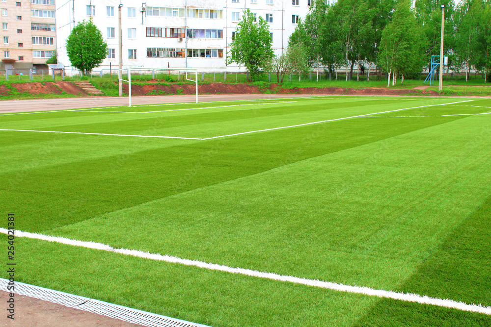 School stadium. Artificial football field. Background.