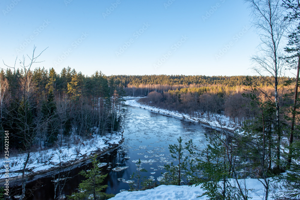 river of gauja in latvia in winter with floating ice blocks