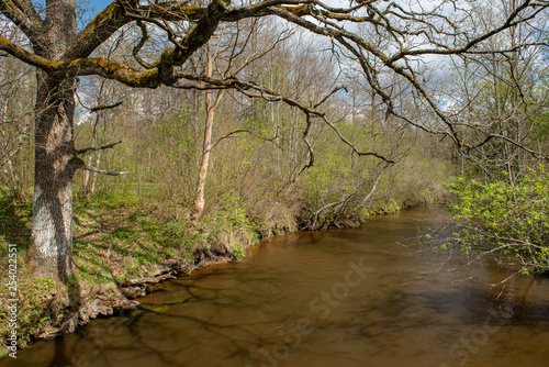 riverside landscape in latvia with dark water and dirty shore line